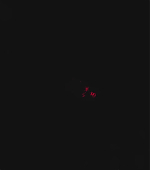 0006.jpg