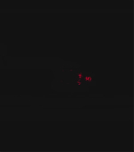 0008.jpg